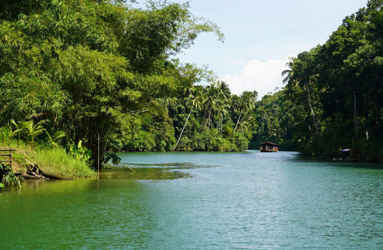Flussfahrt auf dem Loboc River