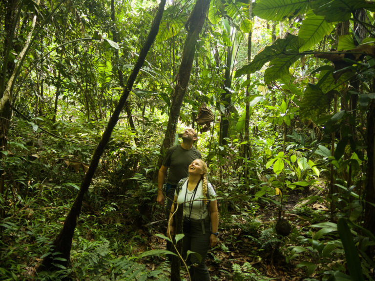 Zwei Reisende unterwegs im Amazonas Regenwald