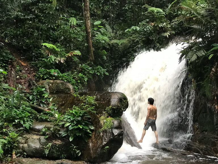Mann steht vor Wasserfall im Regenwald