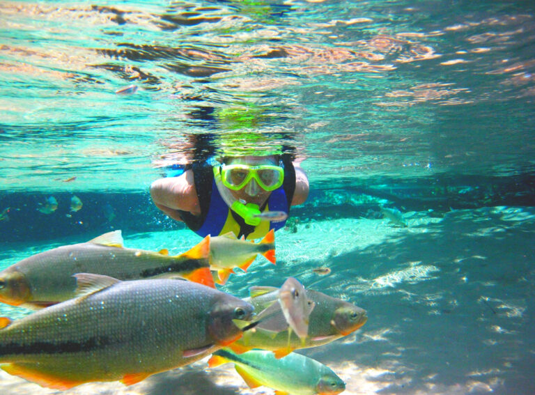 Schnorcheln im kristallklaren Fluss mit Fischen