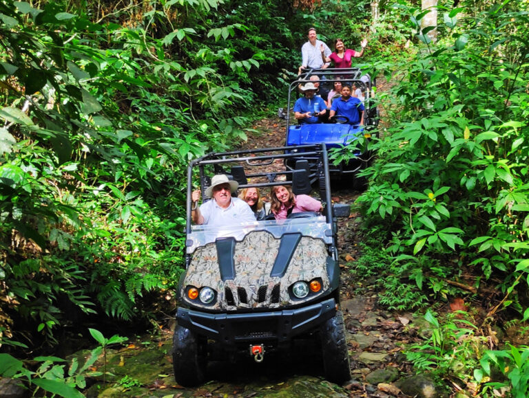 Touristen in Mini-Jeeps im Dschungel