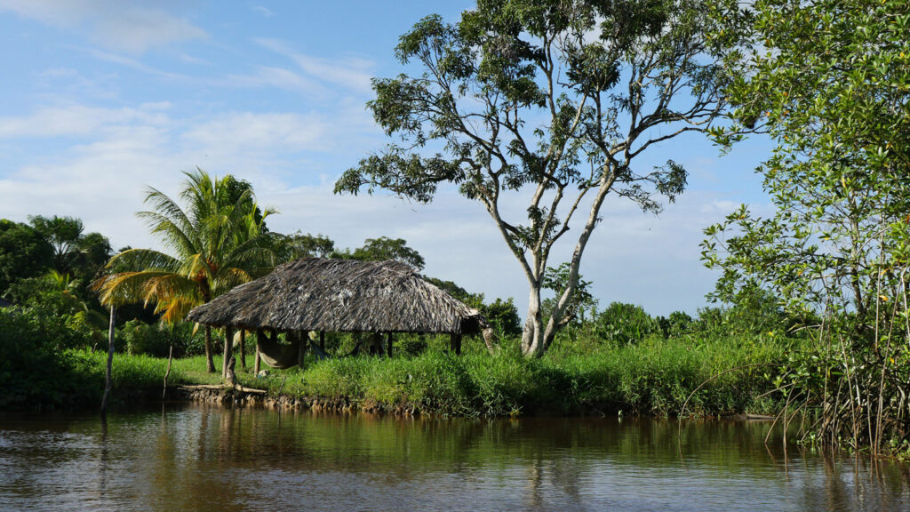 Hütte am Fluss im Orinoco-Delta