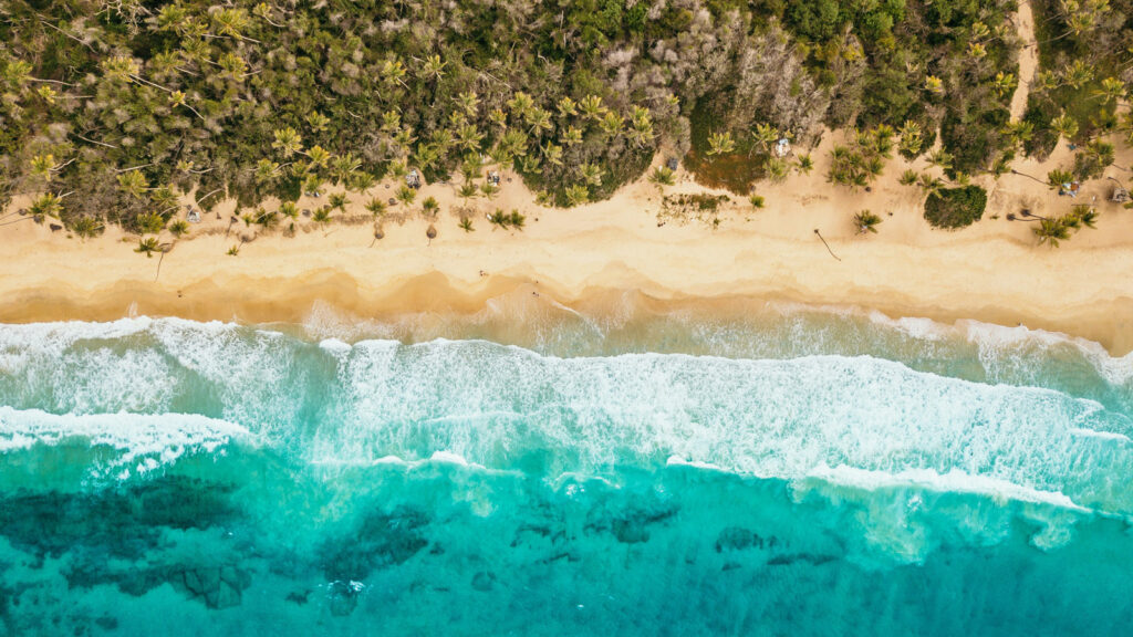 Strand, Palmen und Meer in Venezuela aus Vogelperspektive