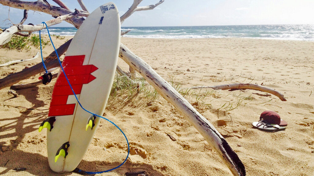 An Treibholz gelehntes Surfbrett am Strand