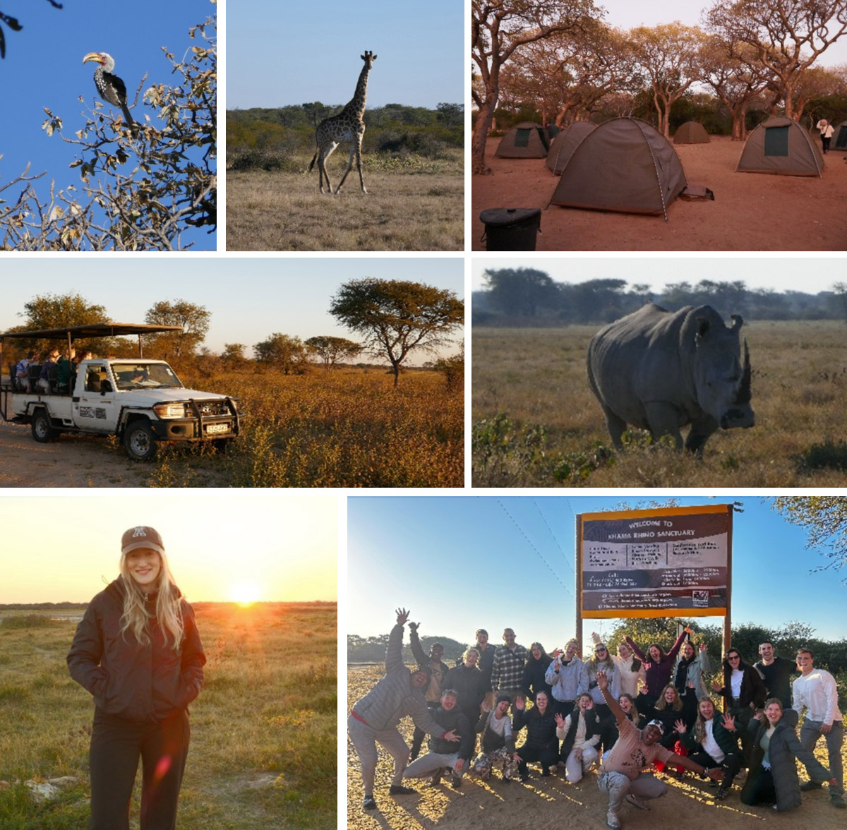 Reisebericht Afrika Collage