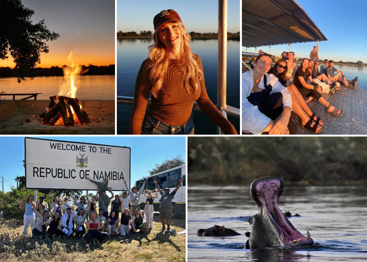 Reisebericht Afrika Collage