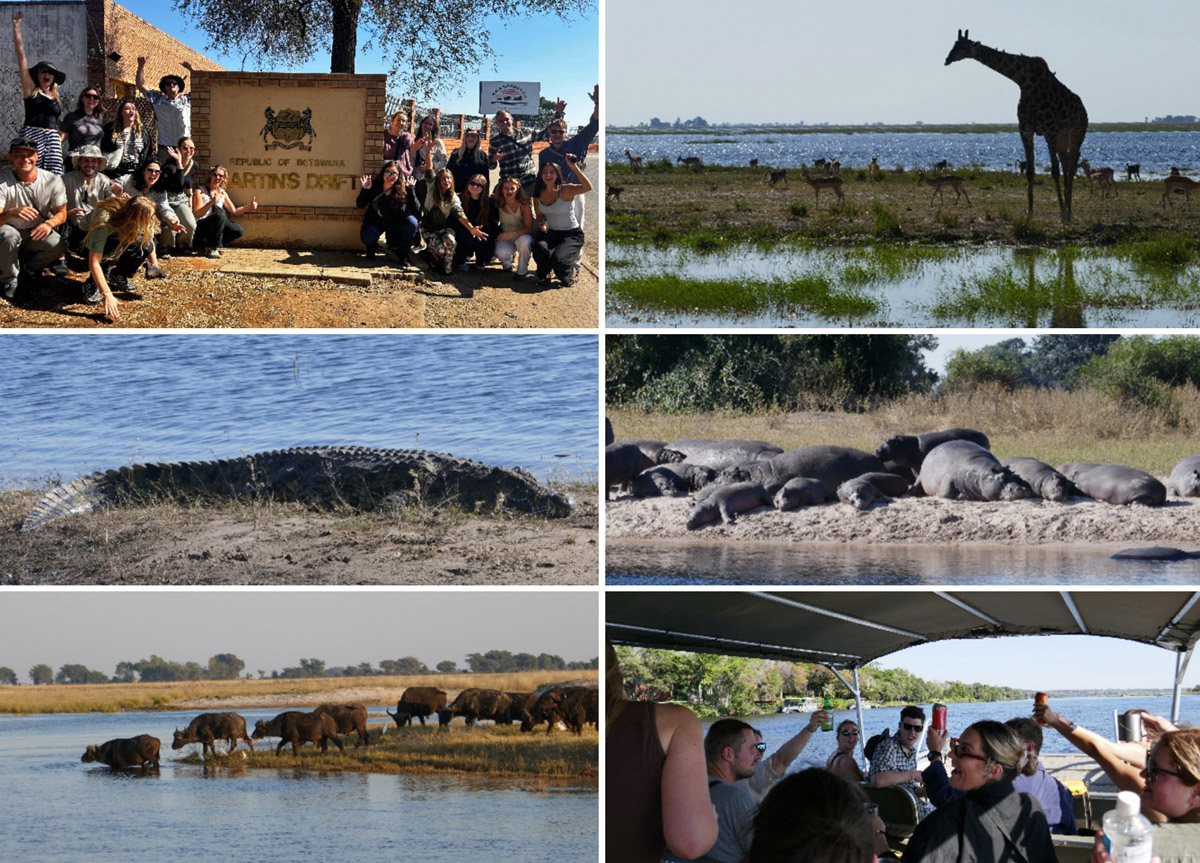 Reisebericht Afrika Collage