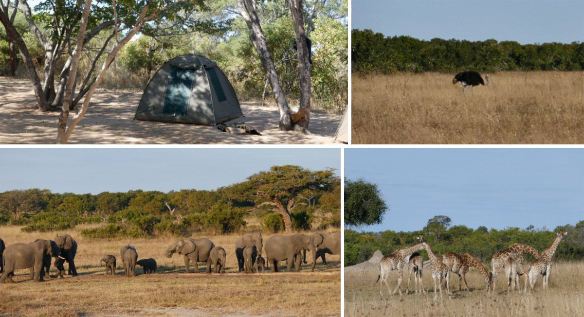 Reisebericht Afrika Collage
