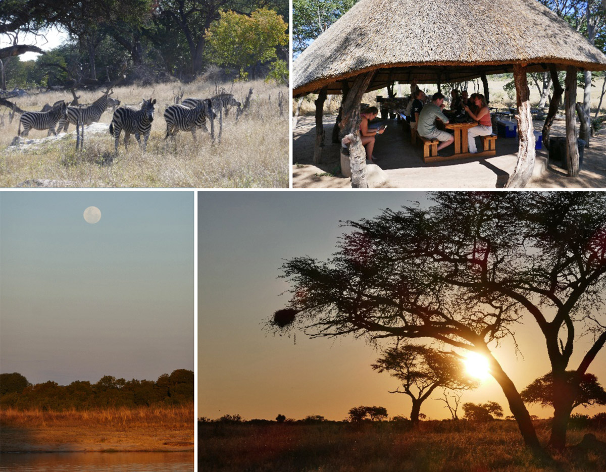 Reisebericht Afrika Collage