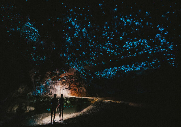 In den magischen Glühwürmchenhöhlen in Waitomo