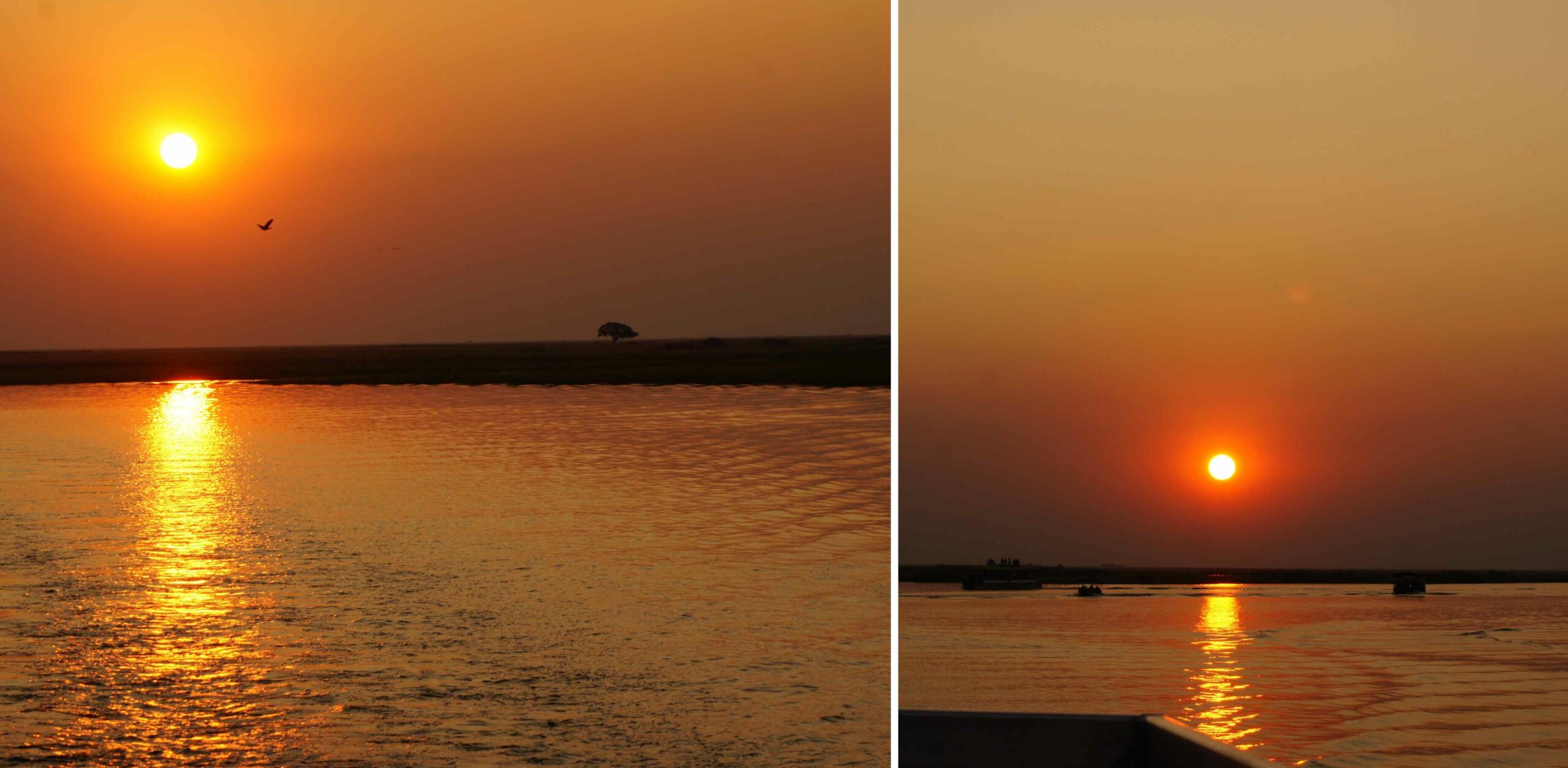 /Sonnenuntergang im Chobe Nationalpark