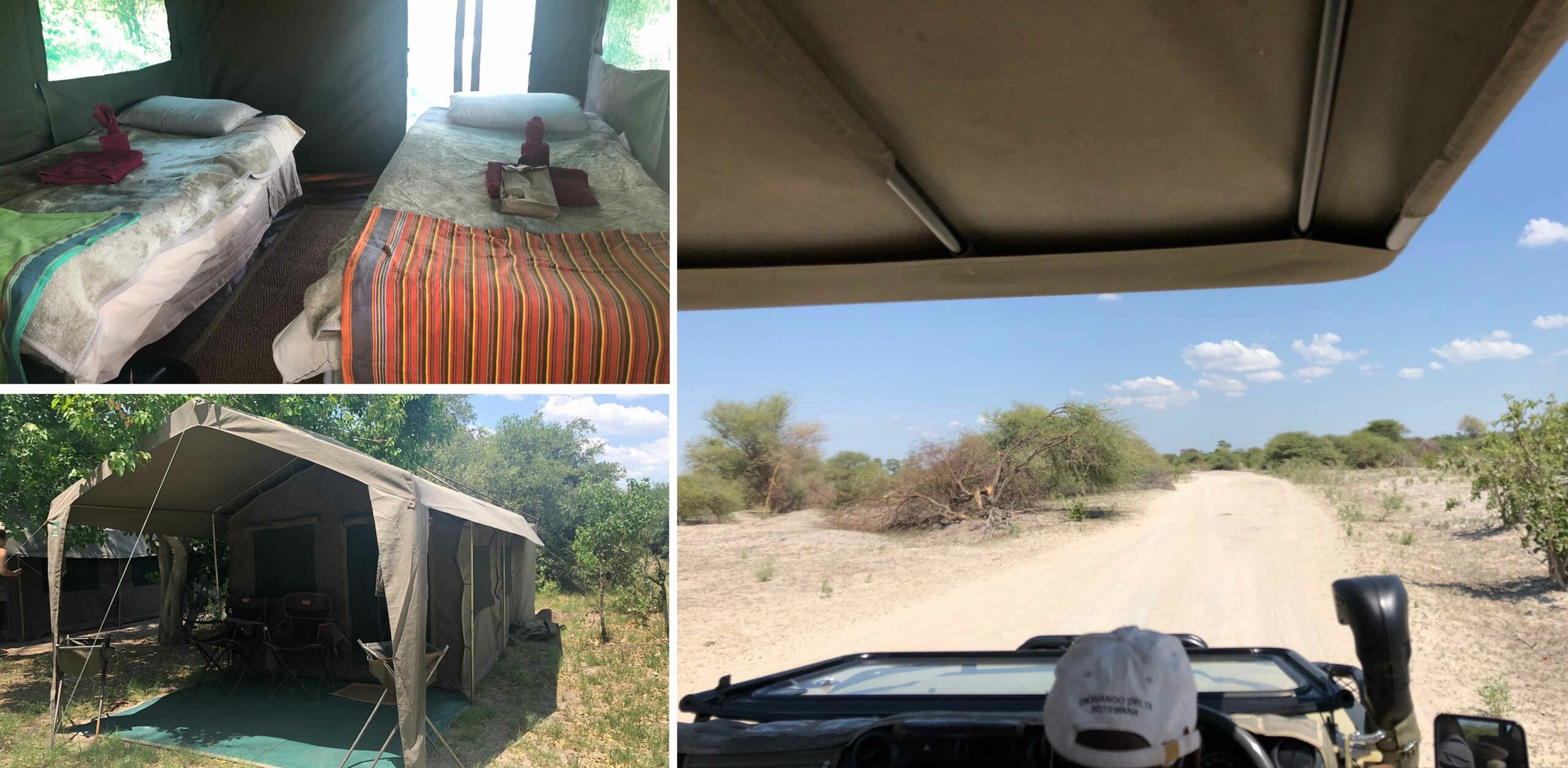 /Camp und Safari im Moremi Game Reserve in Botswana