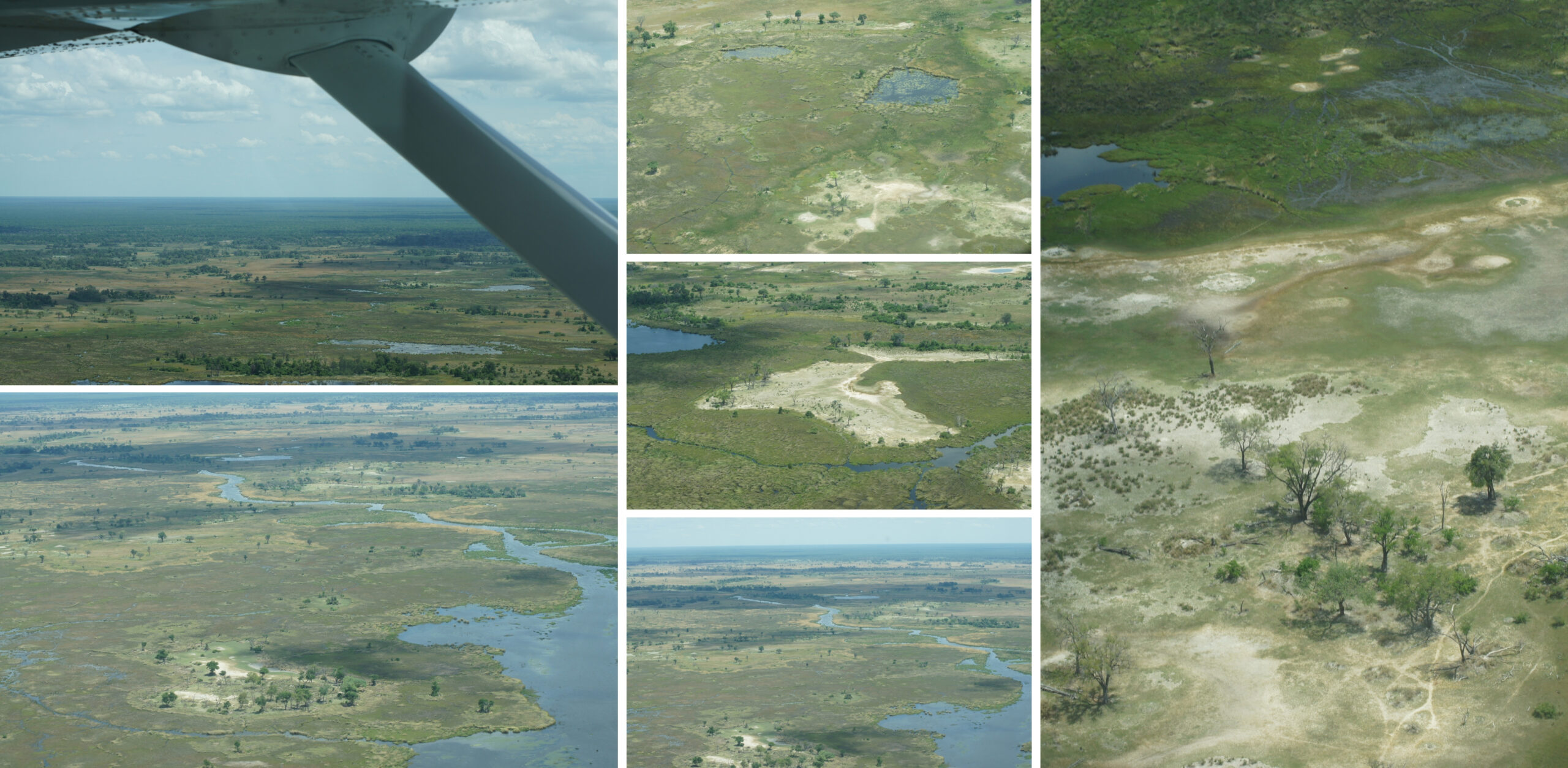 /Flug Moremi nach Khwai