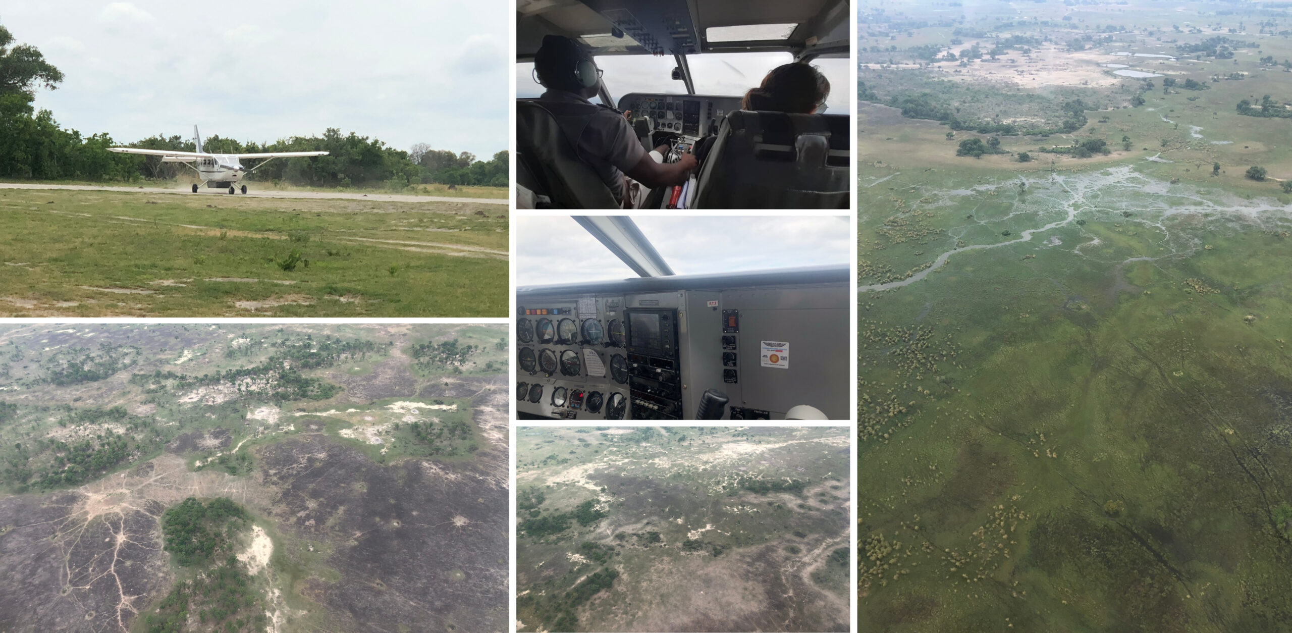 /Blick von oben Blick auf das unendliche Labyrinth aus Wasserläufen