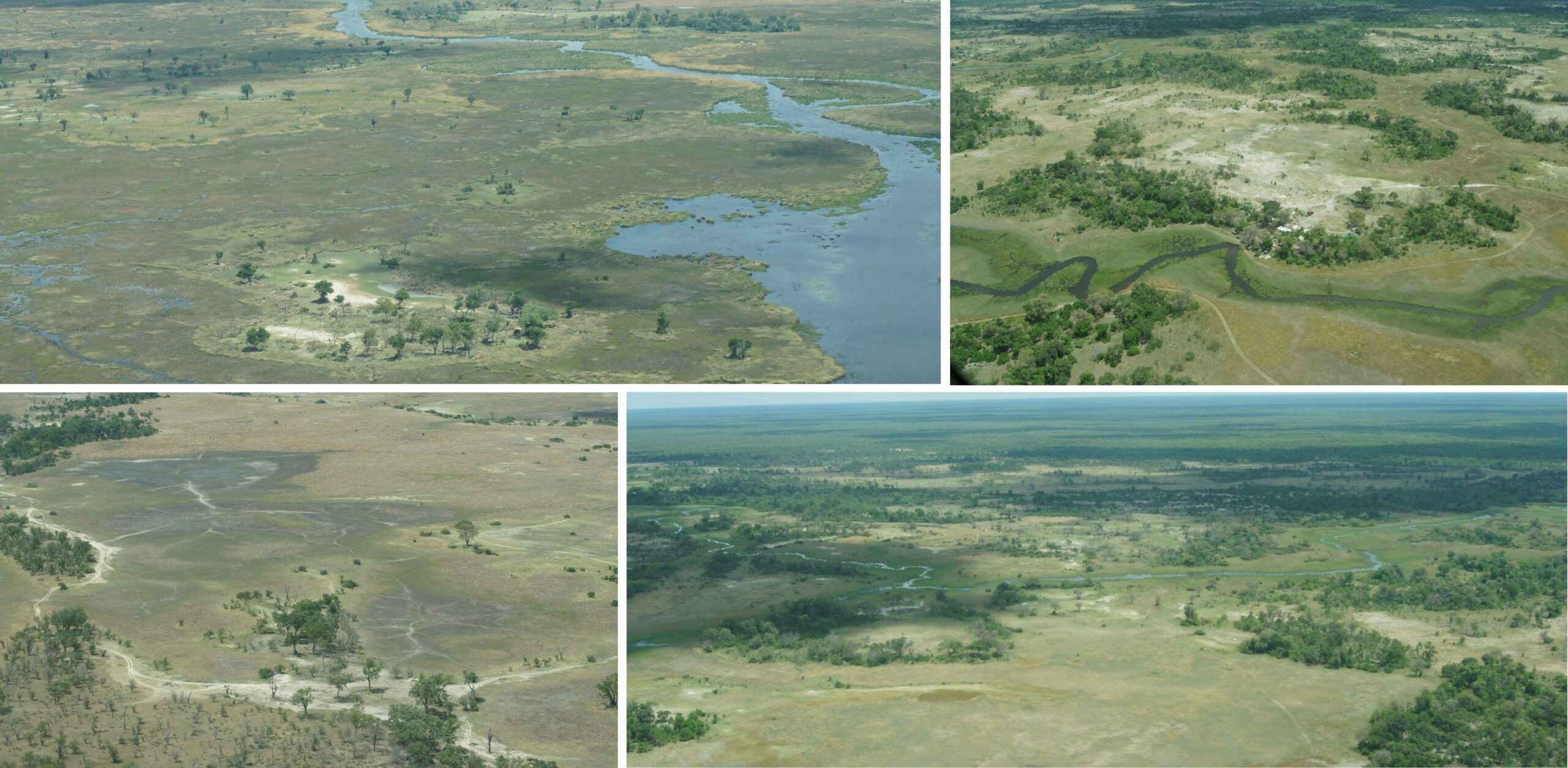 /Abschied vom Okavango Delta
