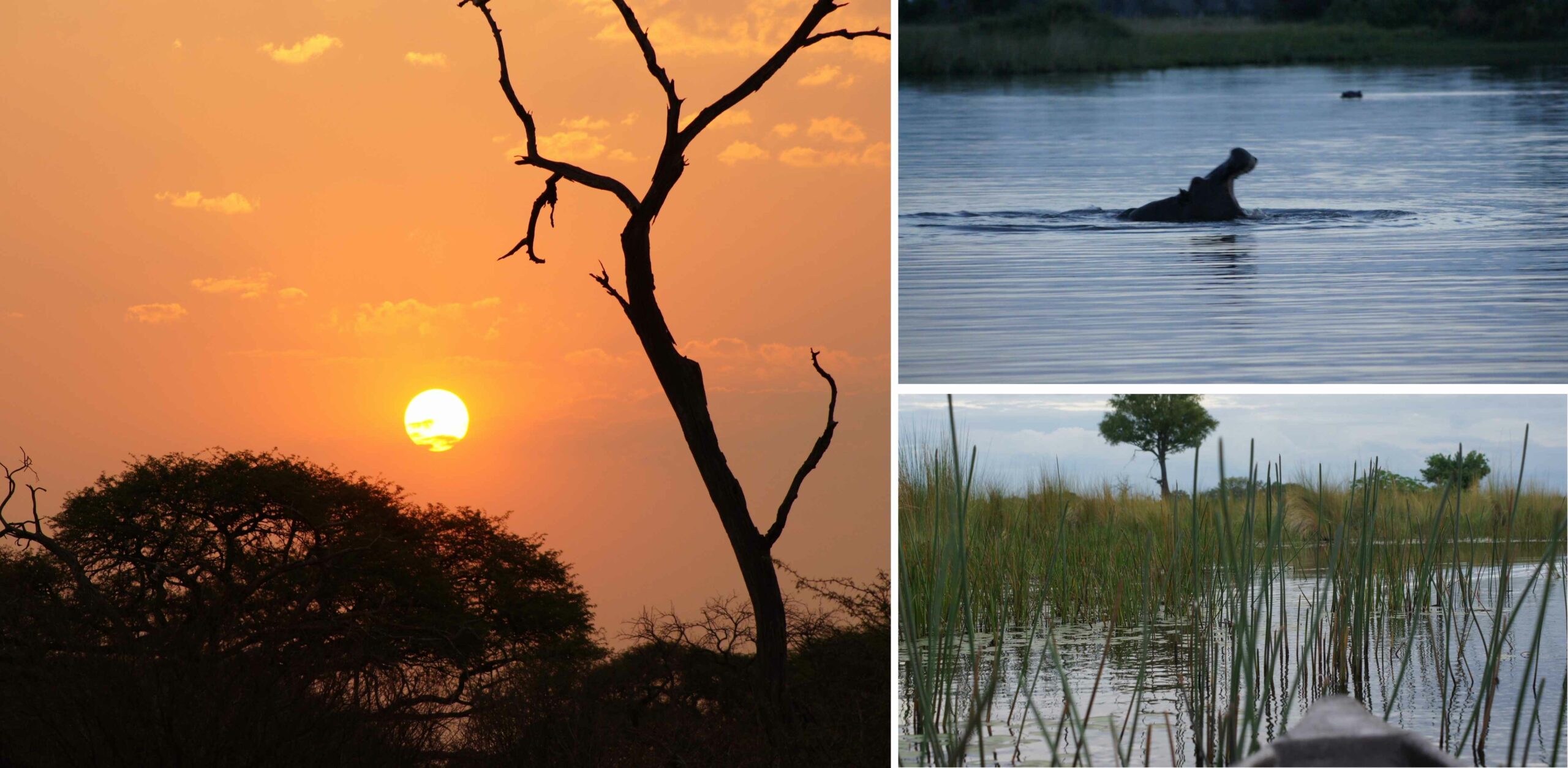 /Mokoro Safari bei Sonnenuntergang