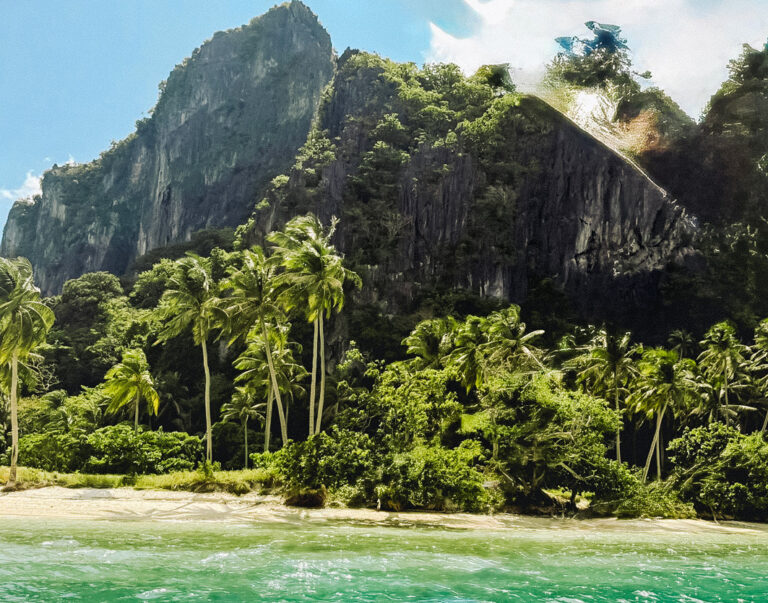 Strand, Palmen und türkises Meer