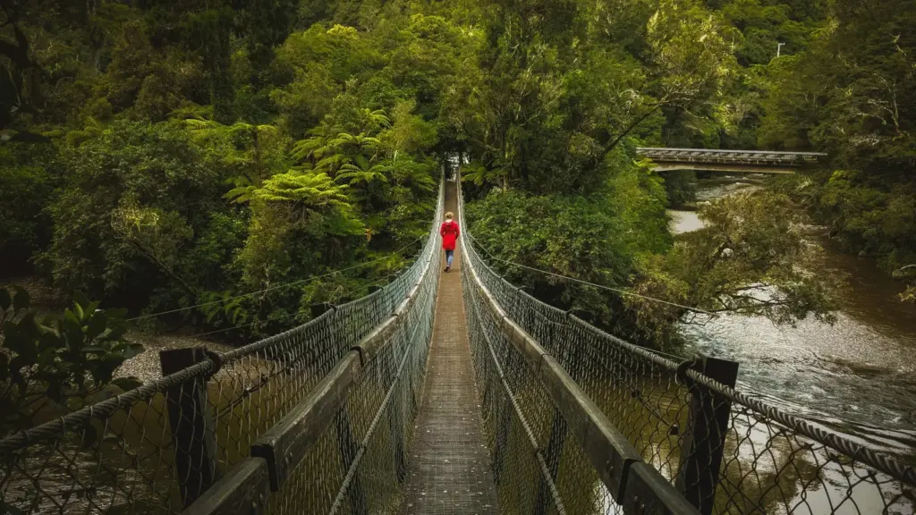 Reisende auf Hängebrücke im dichten Regenwald an einem Fluss in Neuseeland