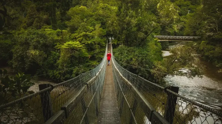 Reisende auf Hängebrücke im dichten Regenwald an einem Fluss in Neuseeland