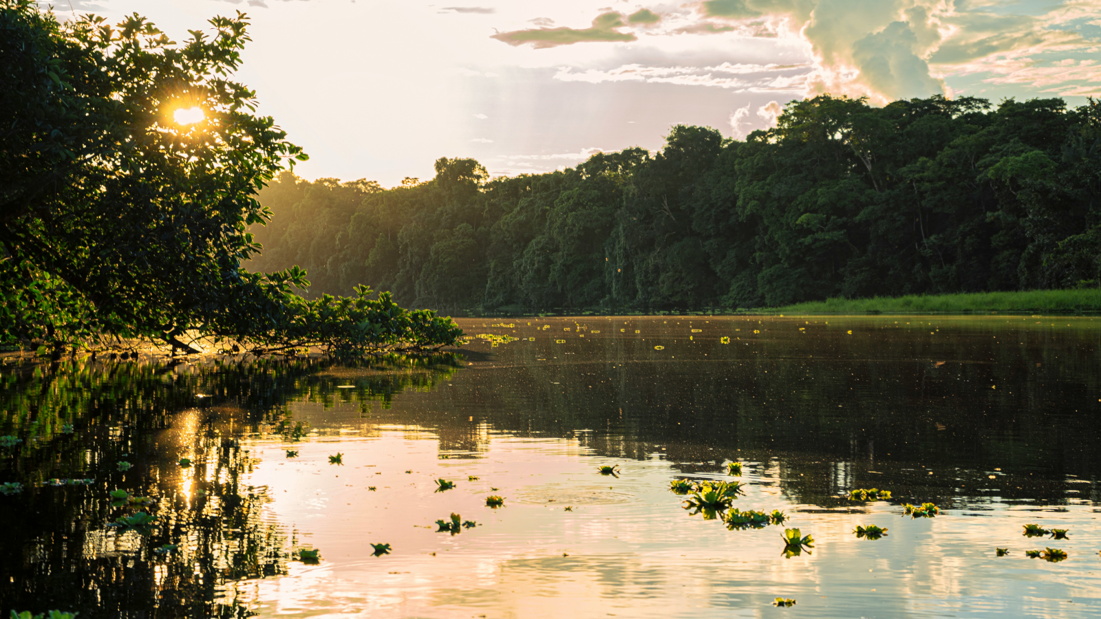 Sonnenuntergang über dem Amazonas Regenwald in Peru