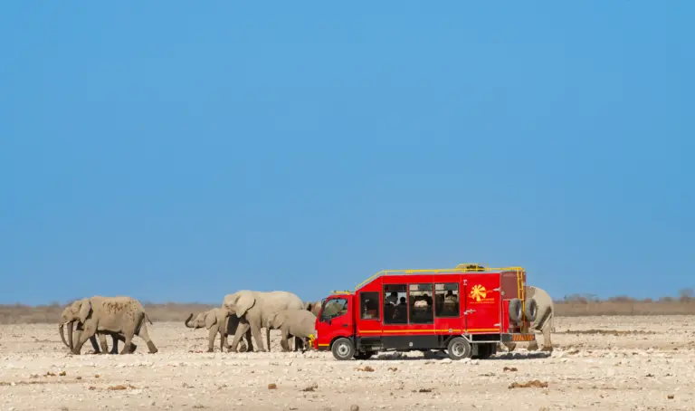Safari Truck mit Reisenden beobachtet Elefantenherde in der Savanne im Etosha Nationalpark Namibia