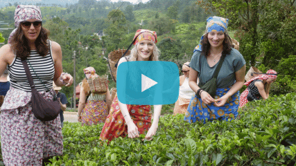 Junge Erwachsene auf einer Gruppenreise durch Teeplantagen in Asien als Beispiel für Gruppenreisen junge Leute und kulturelle Reisen