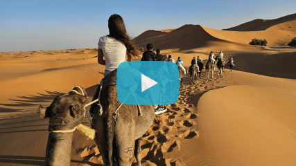 Junge Erwachsene auf Kamelen in der Wüste während einer Gruppenreise als Beispiel für Gruppenreisen junge Leute und junge Erwachsene Reisen