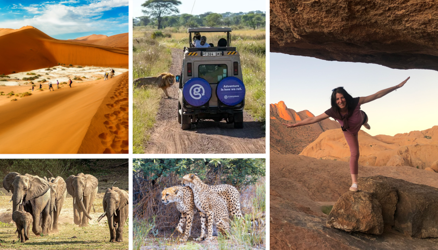 Junge Erwachsene auf Safari im südlichen Afrika mit Elefanten, Löwen und Wüstenlandschaften als Beispiel für Gruppenreisen junge Leute und junge Erwachsene Reisen in Afrika