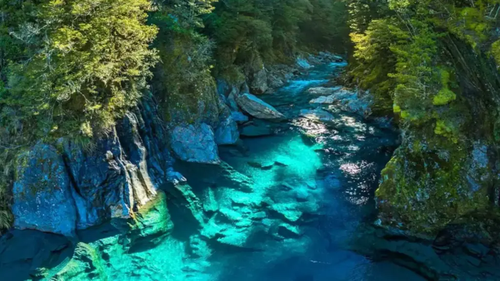 Türkisfarbene Blue Pools im Makarora Valley auf der Südinsel von Neuseeland zwischen Felsen und Wald.