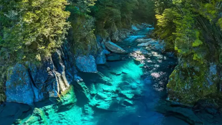 Türkisfarbene Blue Pools im Makarora Valley auf der Südinsel von Neuseeland zwischen Felsen und Wald.
