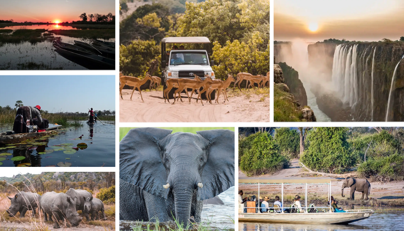 Junge Erwachsene auf Gruppenreise in Botswana mit Safari Jeep, Elefanten und Okavango Delta in Afrika