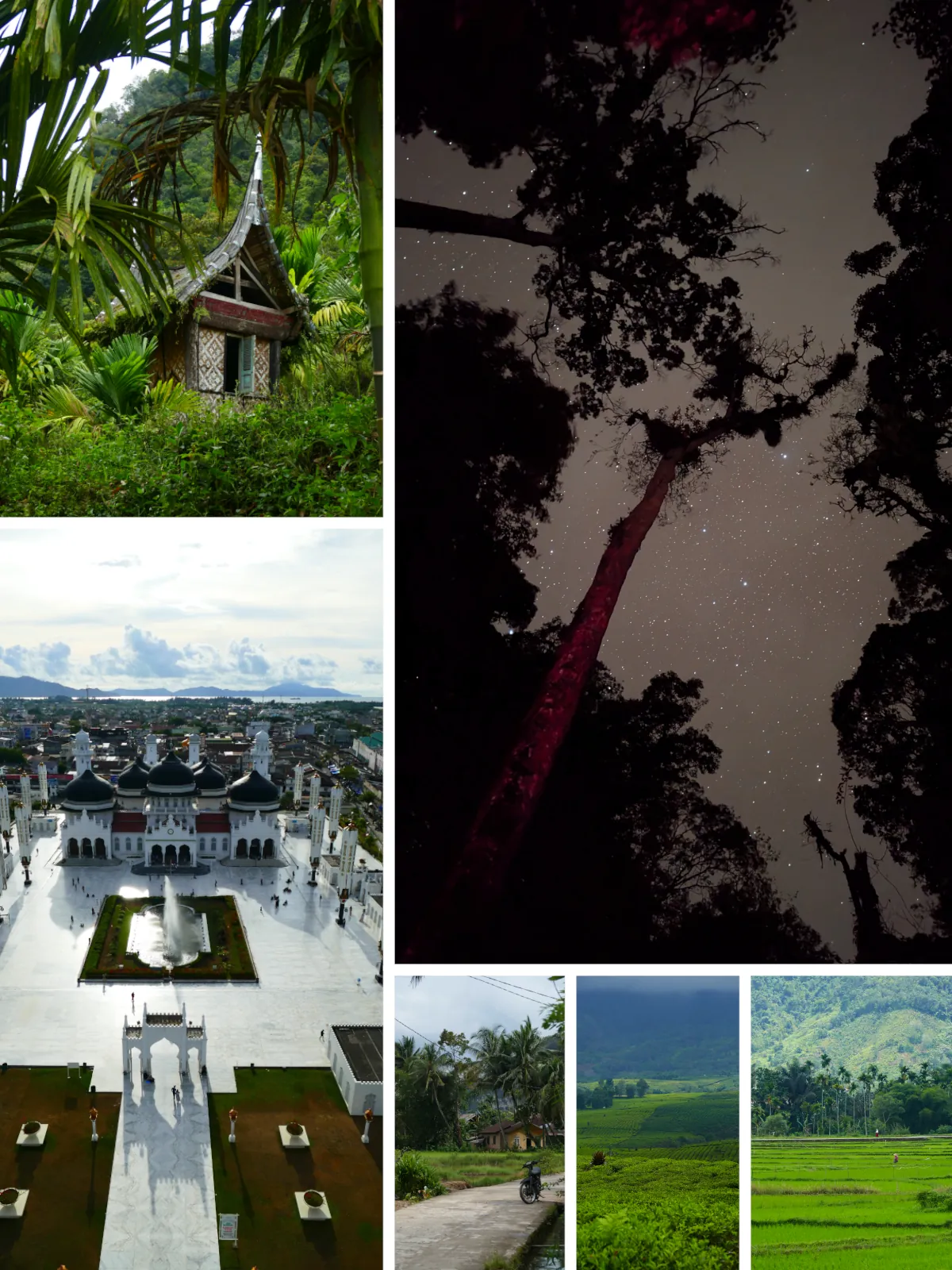 Highlights einer Sumatra-Reise mit Regenwald, Sternenhimmel, Moschee, Teeplantagen und Reisterrassen