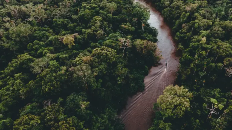 Luftaufnahme eines Flusses, der sich durch den dichten Amazonas-Regenwald schlängelt