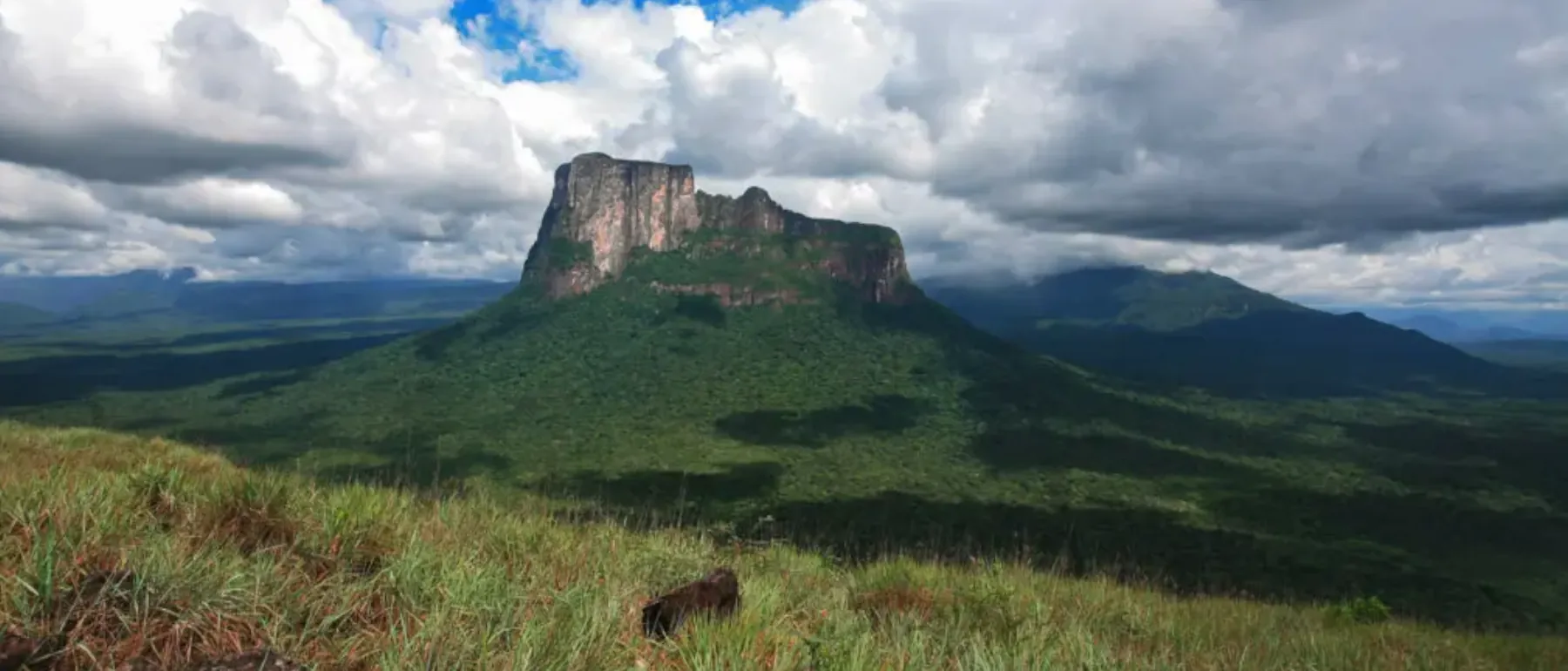 Cerro Autana Tepui im venezolanischen Amazonas, heiliger Tafelberg der Piaroa, umgeben von unberührtem Regenwald