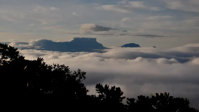Tafelberge ragen über ein dichtes Wolkenmeer am Auyan Tepui im Canaima Nationalpark