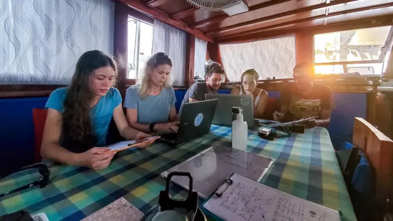 Teilnehmer der Walhai Expedition werten gemeinsam Forschungsdaten an Bord eines Schiffes im Süd Ari Atoll auf den Malediven aus