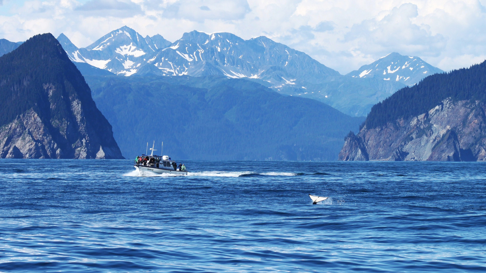 Abenteuerreise Durch Alaskas Wildnis Traveljunkies Tours