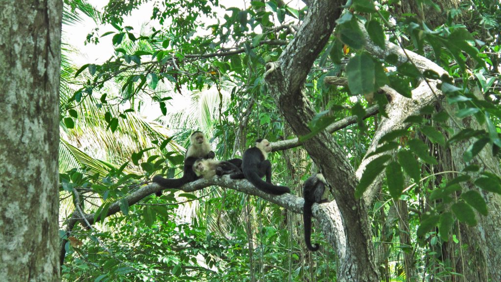 Aktivreise durch Costa Rica Gruppenreise traveljunkies