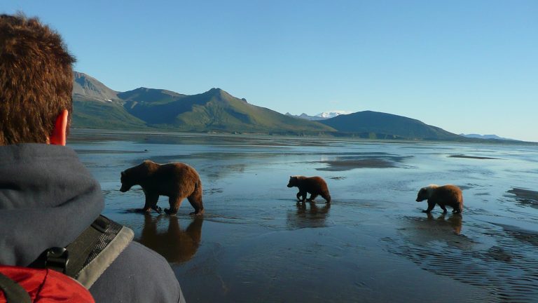 Alaskas pure Wildnis Gruppenreise Reise für junge Leute traveljunkies