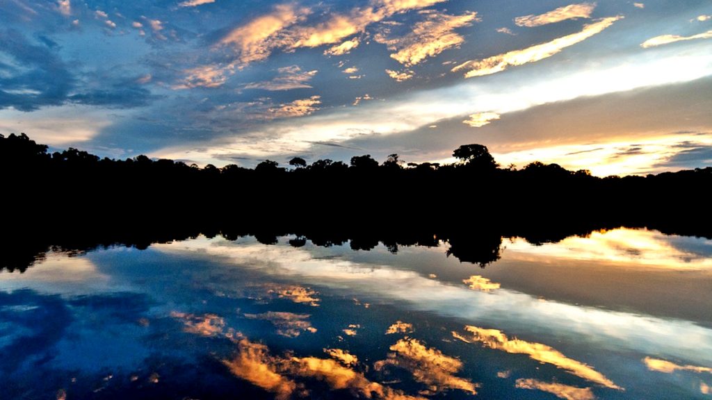 Amazonas Brasilien Survival Tour Flussfahrt traveljunkies