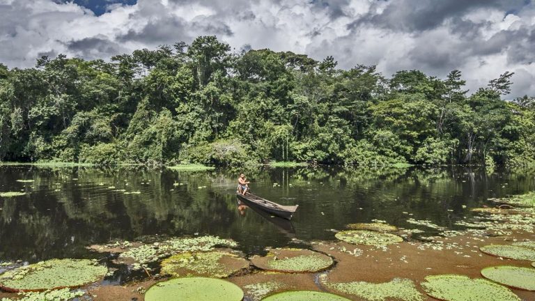 Amazonas Brasilien aktive Erlebnisreise Brasilien traveljunkies