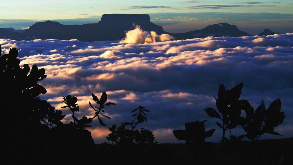 Auyan Tepui Trekking & Salto Angel Expedition in Venezuela Trekking traveljunkies
