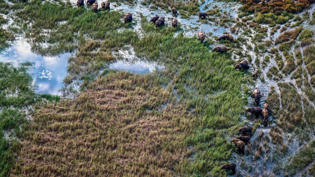 Botswana traveljunkies Safari National Geographic Afrika Simbabwe Abenteuerreise Erlebnisreise Gruppenreise Chobe Nationalpark Victoria Falls Victoriafälle Okavango Delta Maun Moremi