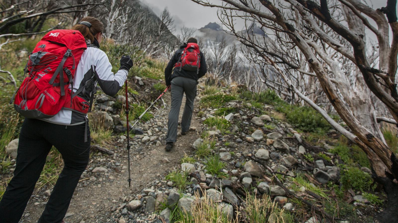 Trekking in torres del paine discount