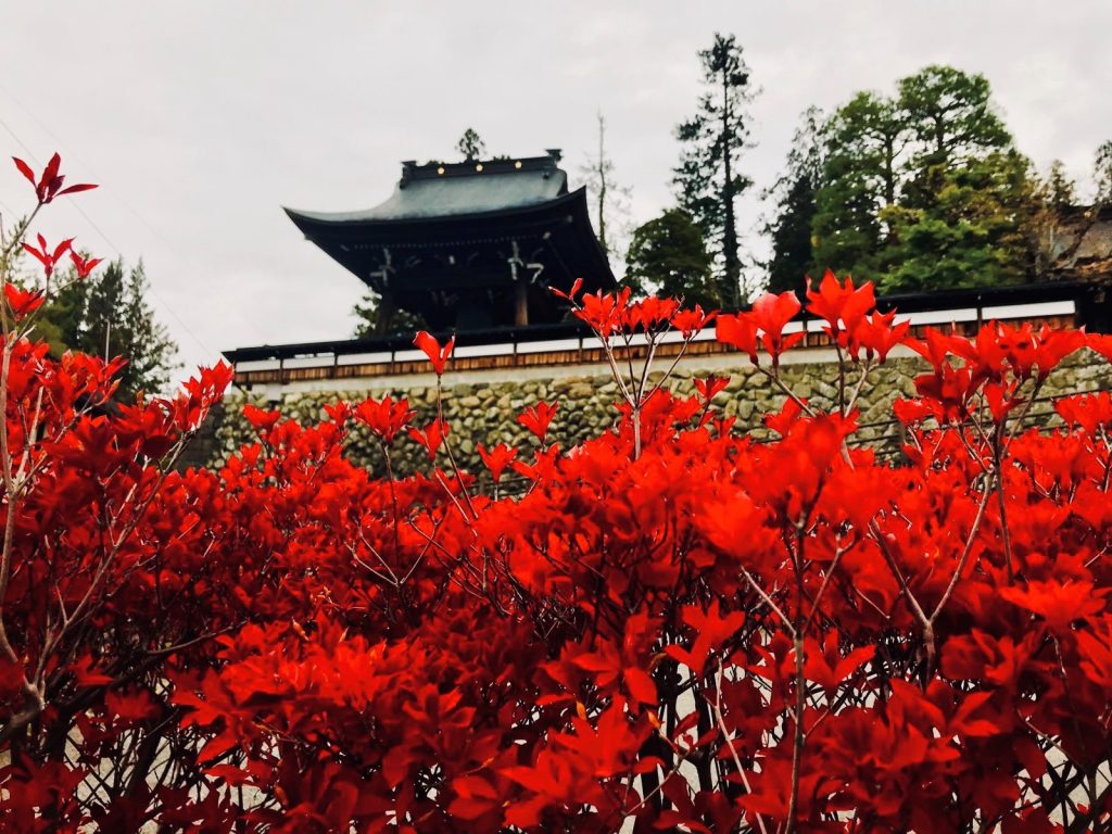 Erlebnisbericht Japan Takayama traveljunkies