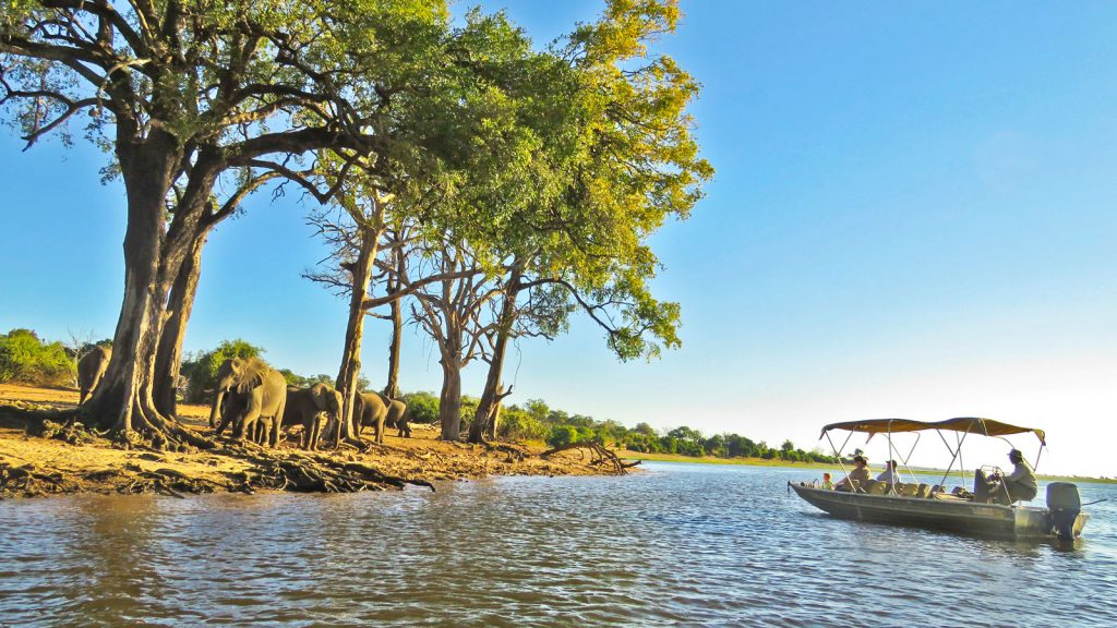 Flusssafari im Chobe Nationalpark Botswana Erlebnisreise in der Gruppe traveljunkies