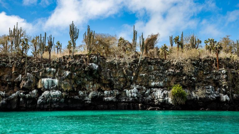 Galapagos Inseln Aktivreise in der Gruppe traveljunkies