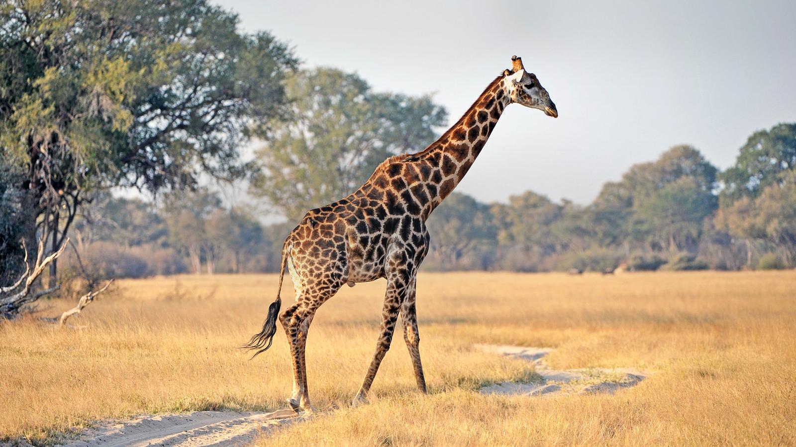 National Geographic Travel Tours Alaska National Geographic Travel Tours Alaska