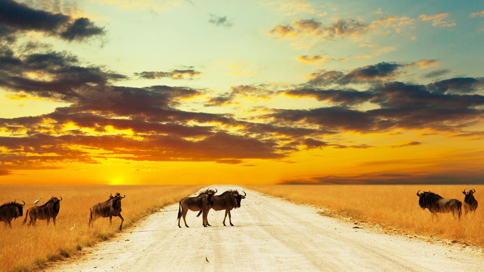 National Geographic Travel Tours National Geographic Travel Tours