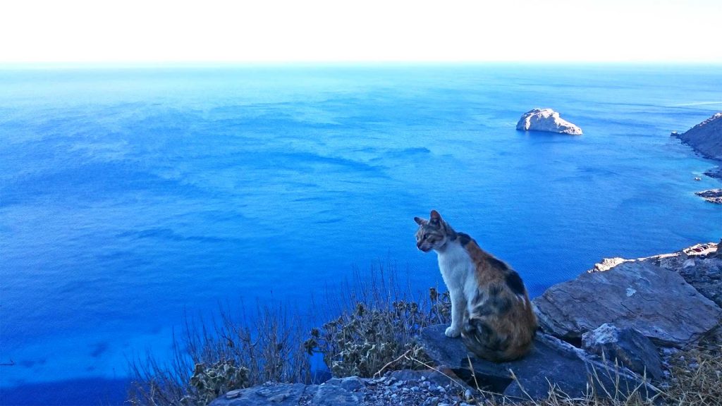 Griechenland Abenteuer Segeln von Mykonos nach Santorini Segeltörn Reisen für junge Leute traveljunkies